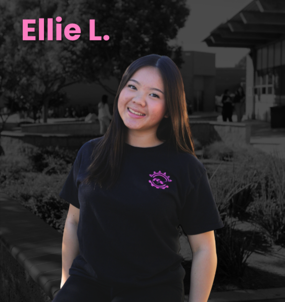 Ellie L. — Operations